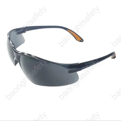 KÍNH CHỐNG BỤI UV UB EV202