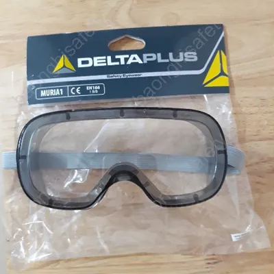 KÍNH BẢO HỘ DELTAPLUS MURIA 1