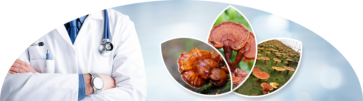 36ENLIE PHARMACY - The Medcos SUBRI - Alothuoc 247