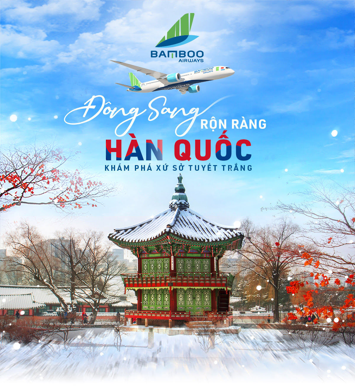 Đặt vé nhanh tại SUBRI Bay Bamboo ngắm Tiết đông Hàn quốc