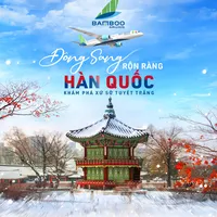 Đặt vé nhanh tại SUBRI Bay Bamboo ngắm Tiết đông Hàn quốc
