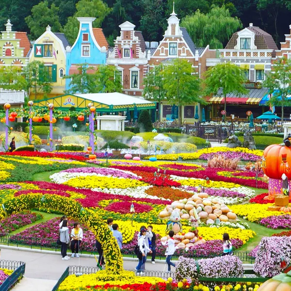 Tour HÀN QUỐC (SEOUL - EVERLAND - ĐẢO NAMI - THÁP NAMSAN)05/12