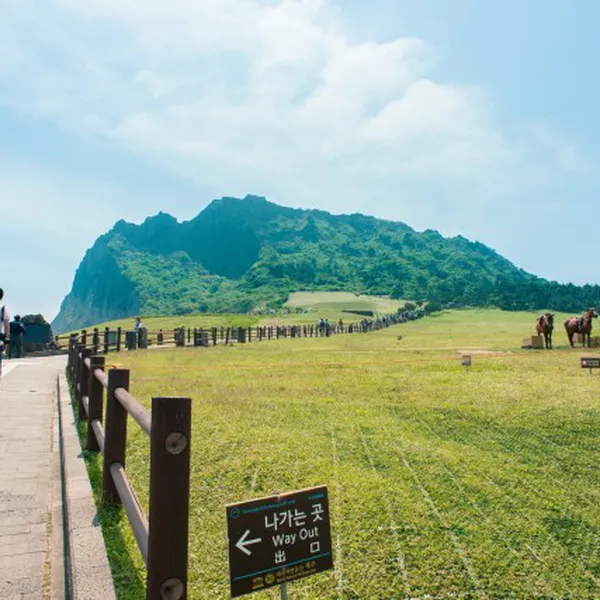 Tour HÀN QUỐC(SEOUL - JEJU - EVERLAND - ĐẢO NAMI)0612