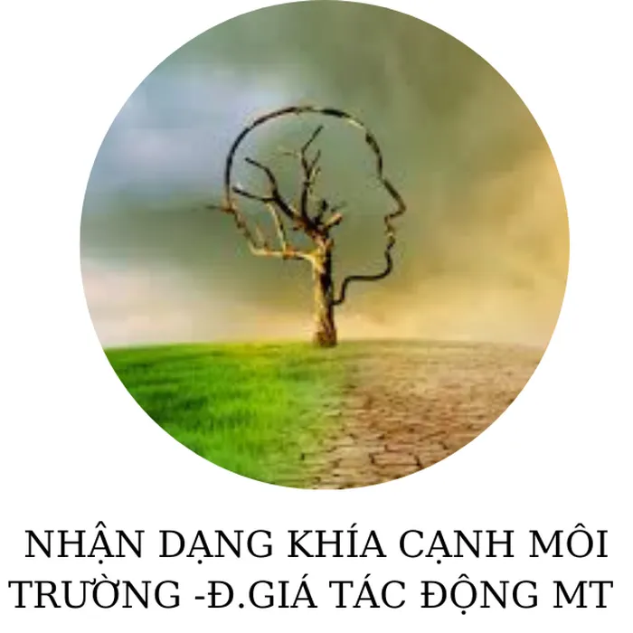 ĐÀO TẠO ISO 14001:2015 ĐÀO TẠO ISO 14001:2015