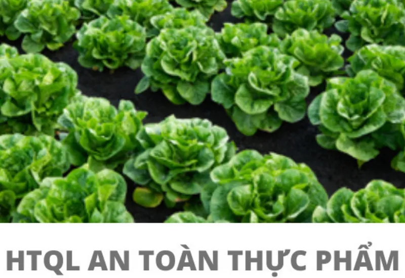 10 MẸO ĐÁNH GIÁ NỘI BỘ AN TOÀN THỰC PHẨM ĐỂ ĐẠT GIẤY CHỨNG NHẬN ISO 22000 10 MẸO ĐÁNH GIÁ NỘI BỘ AN TOÀN THỰC PHẨM ĐỂ ĐẠT GIẤY CHỨNG NHẬN ISO 22000