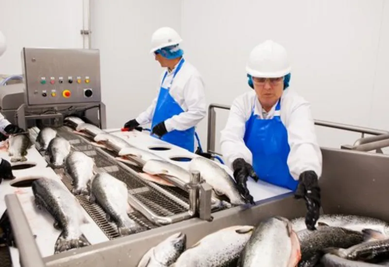 Chứng Nhận ISO: Sự Khác Nhau Giữa ISO 22000: 2018 So Với ISO 22000: 2005 Chứng Nhận ISO: Sự Khác Nhau Giữa ISO 22000: 2018 So Với ISO 22000: 2005