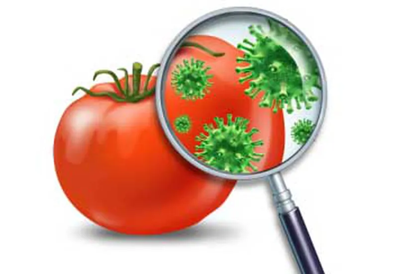 ISO 22000 Revision ISO 22000 Revision