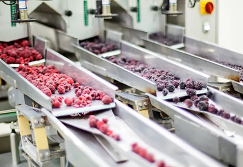 TẠI SAO DOANH NGHIỆP KINH DOANH & SẢN XUẤT THỰC PHẨM CẦN CHỨNG NHẬN HACCP? TẠI SAO DOANH NGHIỆP KINH DOANH & SẢN XUẤT THỰC PHẨM CẦN CHỨNG NHẬN HACCP?