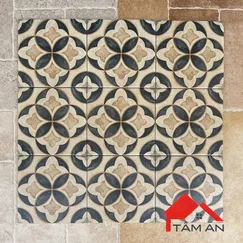 Gạch Bông Men G7B20249