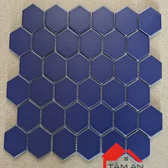 GẠCH LỤC GIÁC HX5207M