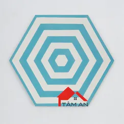 Gạch lục giác VH23-011-T-01