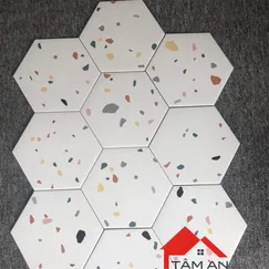 Lục giác Terrazzo