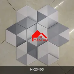Gạch lục giác NLG013