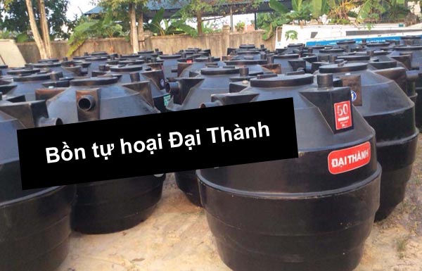 bon tu hoai dai thanh bon tu hoai dai thanh
