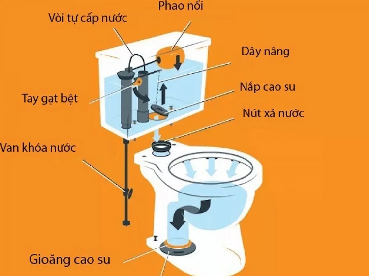 Cấu tạo bồn cầu vệ sinh Cấu tạo bồn cầu vệ sinh