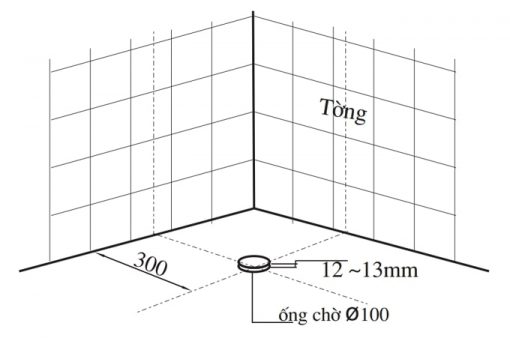 vi-tri-ong-cho-thai vi-tri-ong-cho-thai