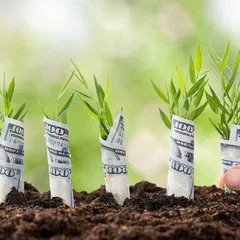 Một vài chương trình khởi nghiệp từ nông nghiệp