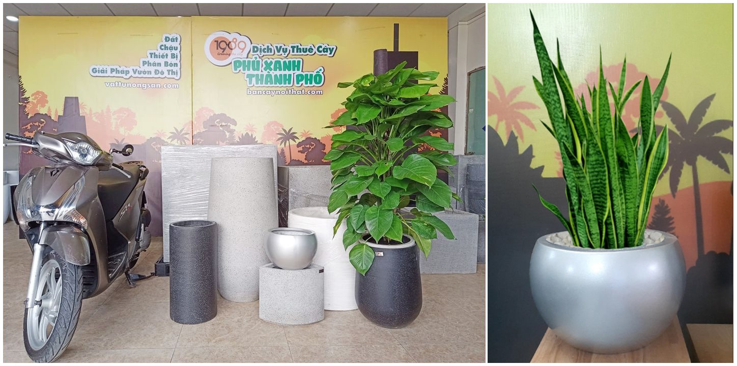 Các mẫu chậu tại showroom của 1989 JSC