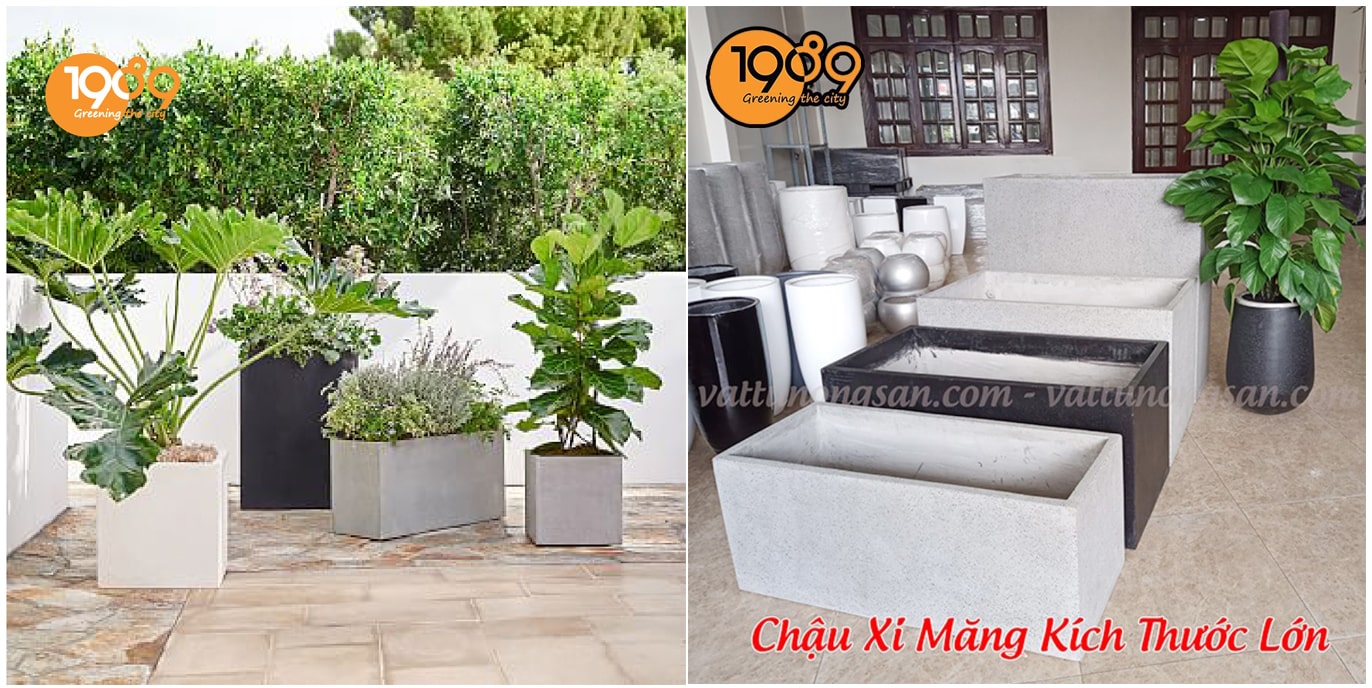 Chậu xi măng đá mài bảo đảm chất lượng và giá cả