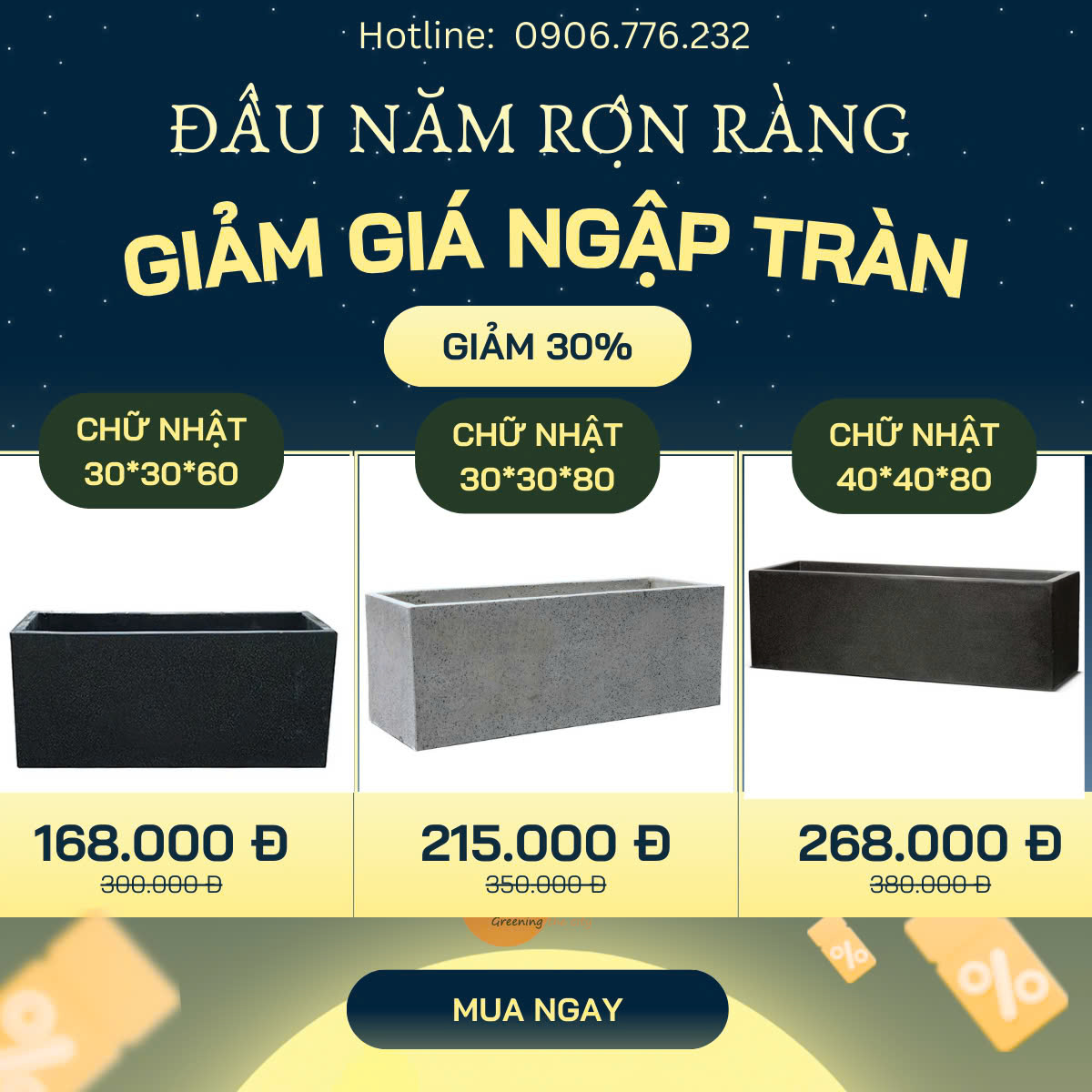 Chậu Trồng Cây