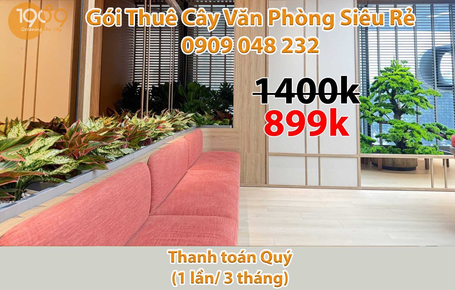 Gói Thuê Cây Văn Phòng Siêu Rẻ