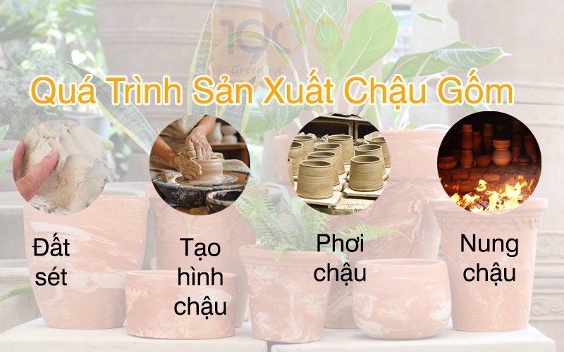 So sánh chậu xi măng và chậu gốm