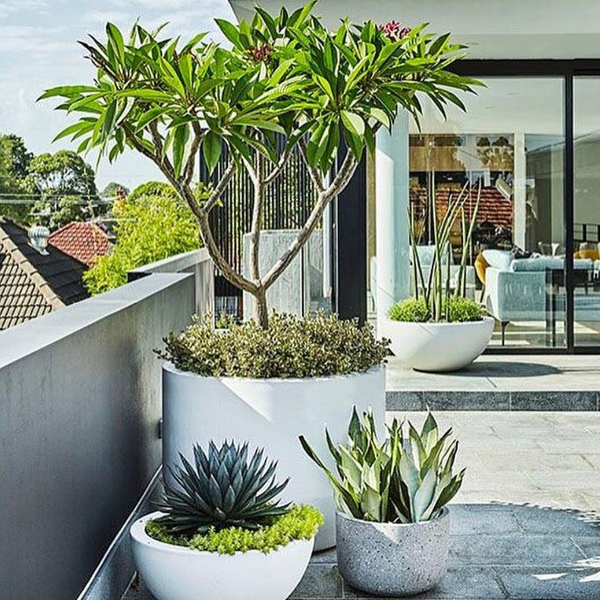 Chậu xi măng đá mài tròn trụ