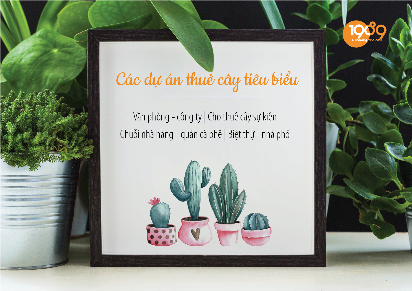 dịch vụ thuê cây cảnh văn phòng 1989