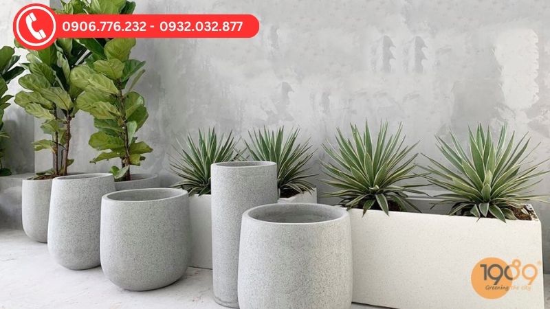 Chậu đá mài  trồng cây ban công