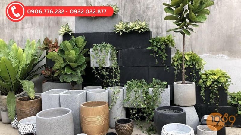 Chậu Xi Măng Đá Mài – Chậu Trồng Cây Bền Đẹp, Hiện Đại