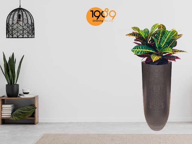 chậu đá mài đầu đạn