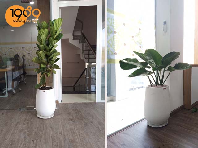 chậu đá mài tròn hình giọt nước