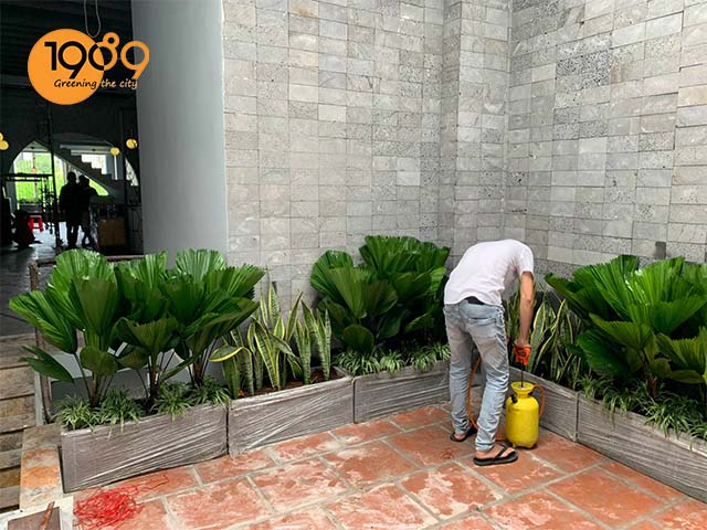 cách trang trí nhà hàng chay 3