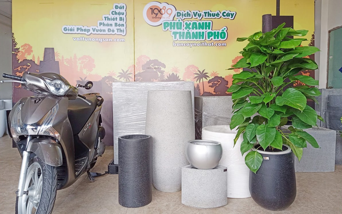 Chậu Xi Măng Đá Mài 1989