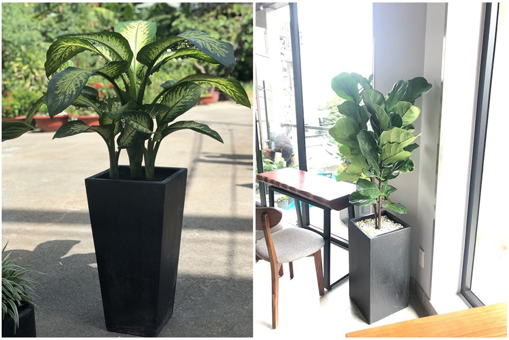 Chậu Xi Măng Đá Mài 1989