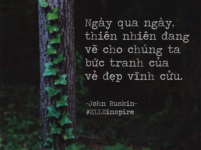 cau noi hay ve thien nhien