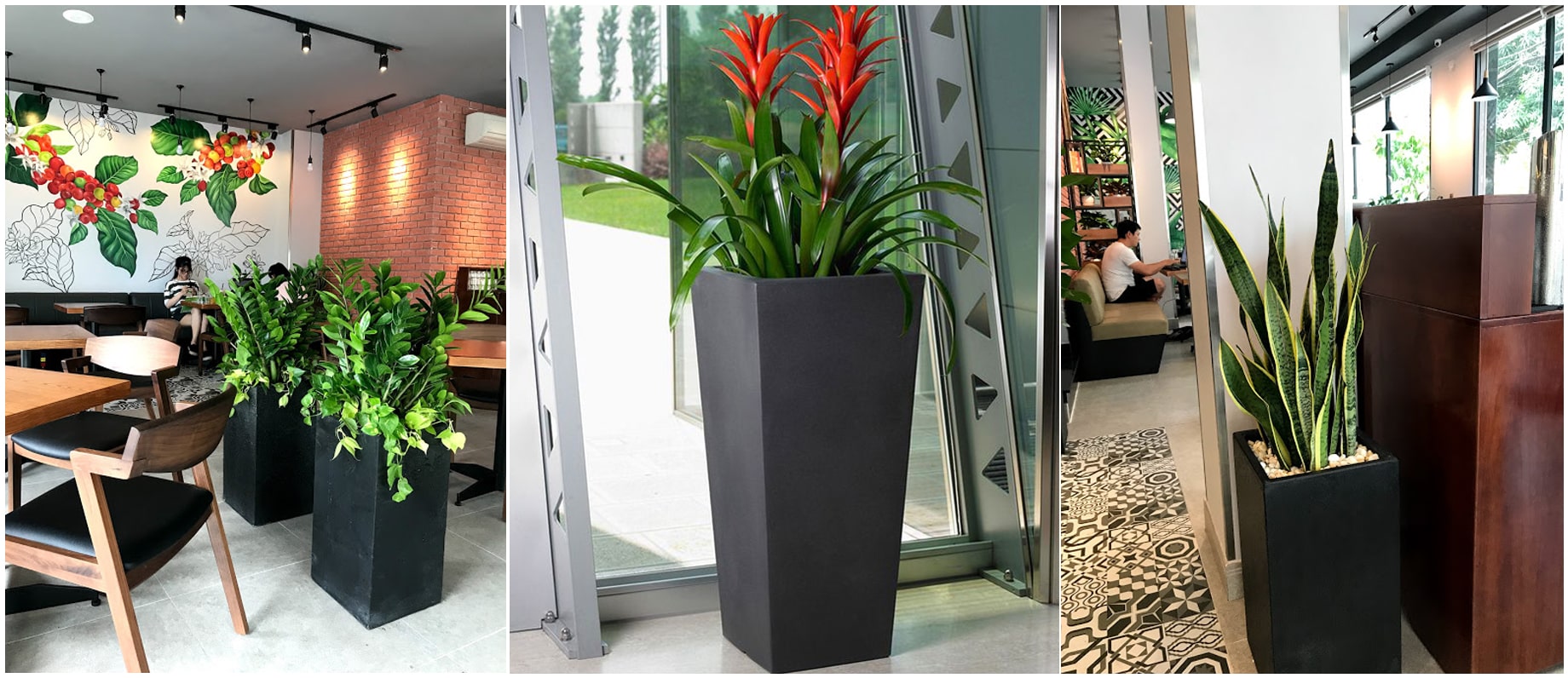 Chậu Xi Măng Đá Mài 1989