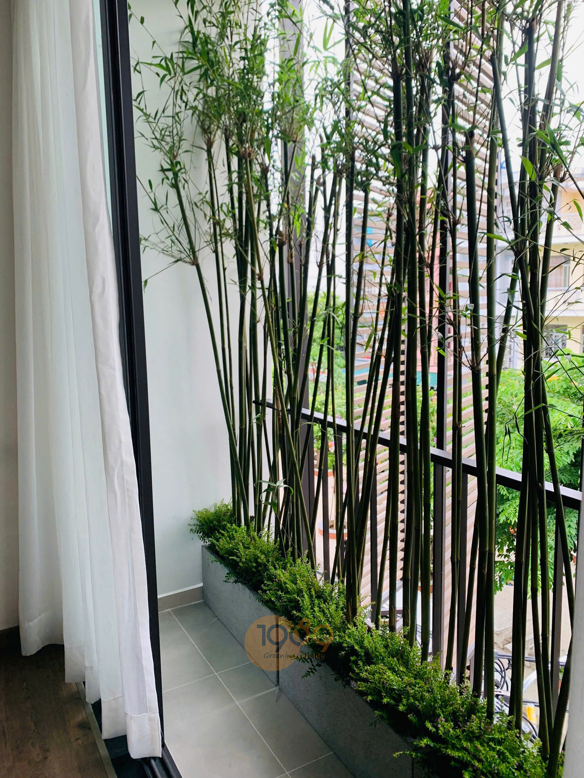 Chậu Cây Để Ban Công - Chậu Trồng Cây Xi Măng Đá Mài