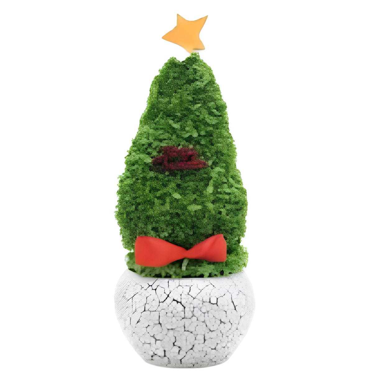 cây noel để bàn