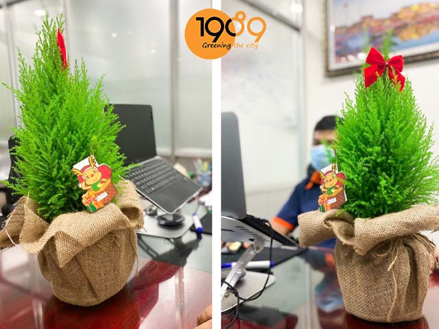 Dịch Vụ Thiết Kế Thi Công Cảnh Quan Noel 2025 | 89 Landscape