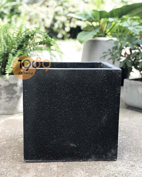 Làm hồ nuôi cá bằng chậu cây