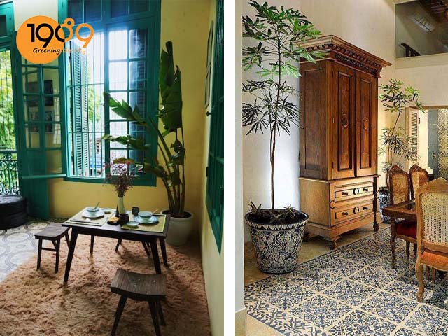 chậu trồng cây quán cafe Phong cách Đông Dương - Indochine Style 3