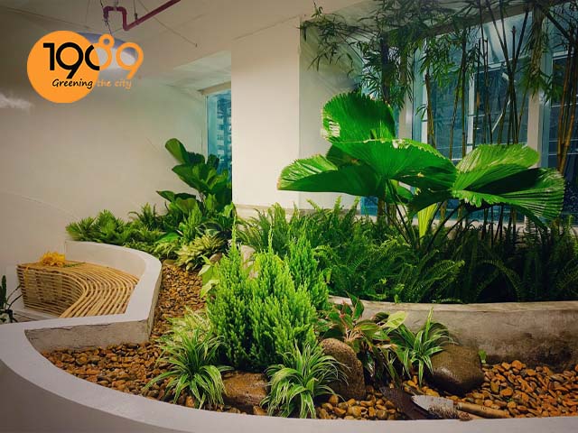 dịch vụ cho thuê thuê cây xanh văn phòng giao hàng tiết kiệm