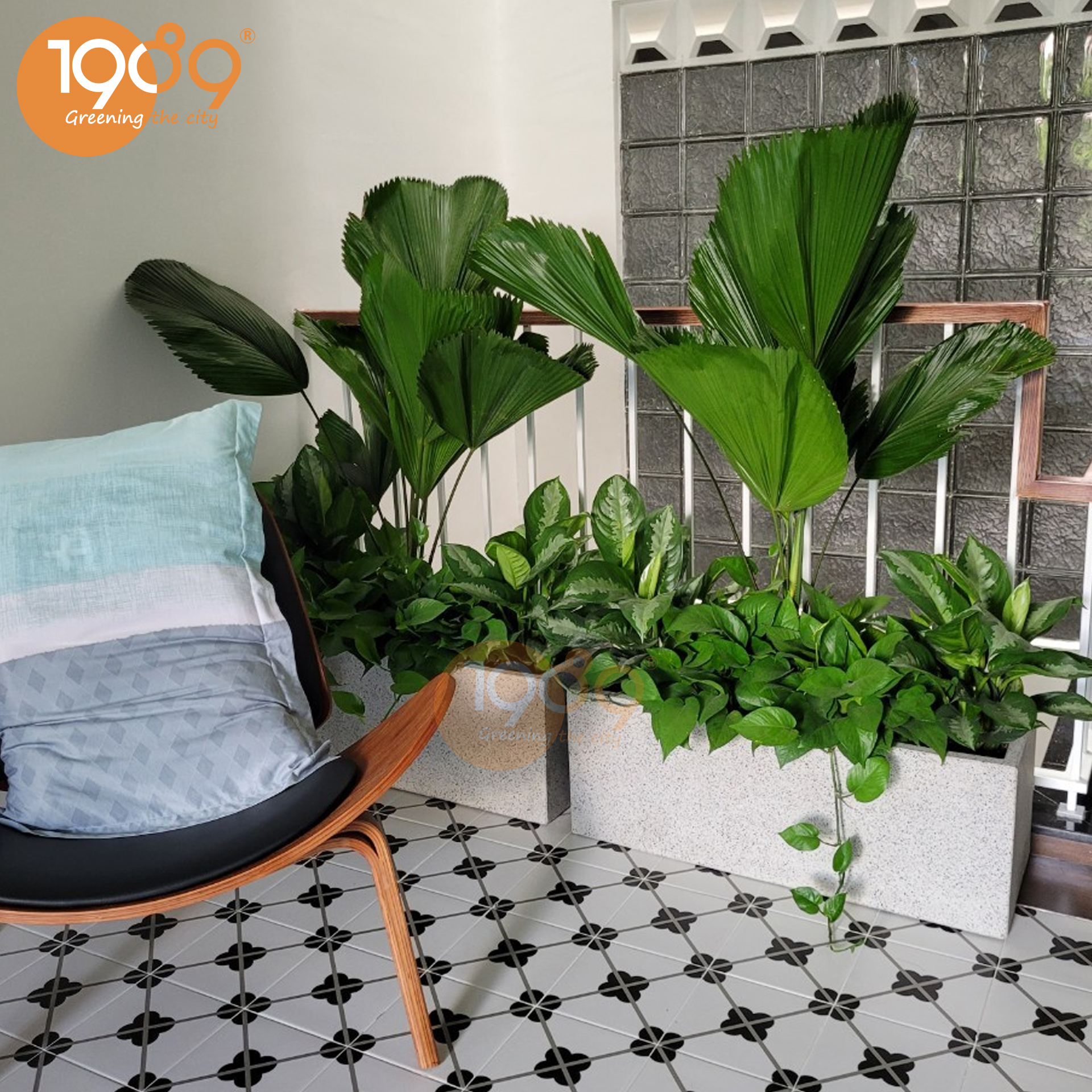 chậu cây xi măng chữ nhật