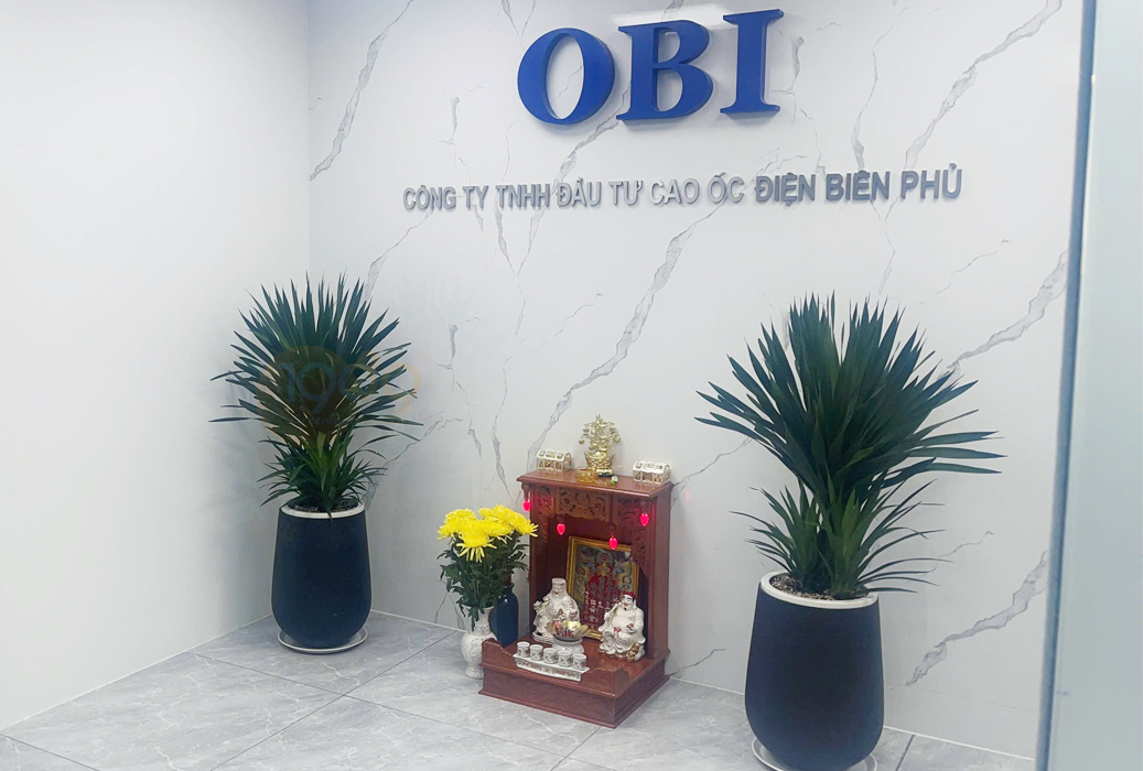 Cây để sàn cho nhà thiếu sáng: 12 lựa chọn xanh mát và bí quyết chăm sóc bất bại