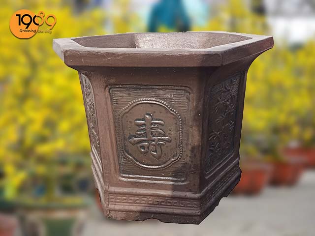 15 Mẫu chậu trồng cây cảnh trang trí ngày tết chữ thọ