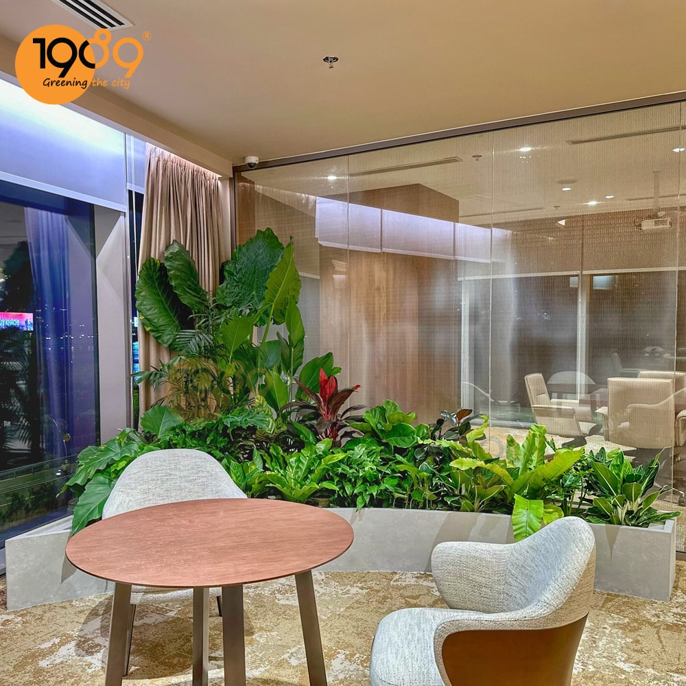 Khám Phá Lợi Ích Cây Xanh Văn Phòng: Bí Quyết Tăng Năng Suất Và Thịnh Vượng