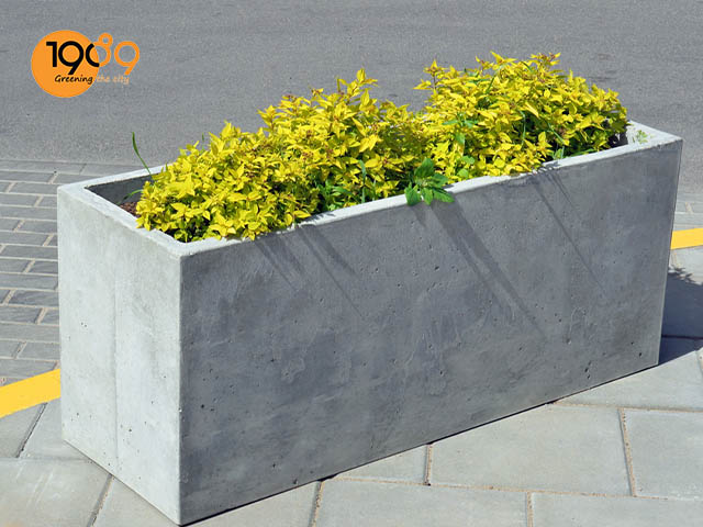 trang trí chậu xi măng truyền thống