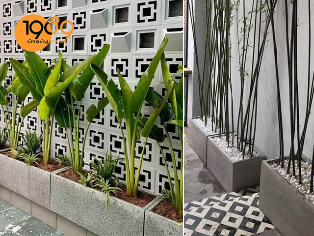 chậu xi măng xuất khẩu chậu đá mài hình chữ nhật 1