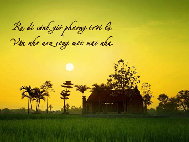 cách làm đất trồng rau muống tại nhà